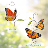 Monarch