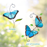Morpho