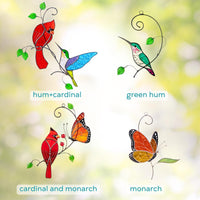 Hum+cardinal