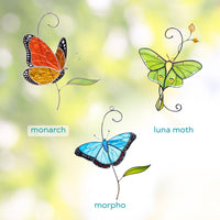 Monarch