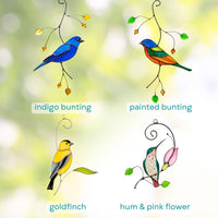 Indigo Bunting